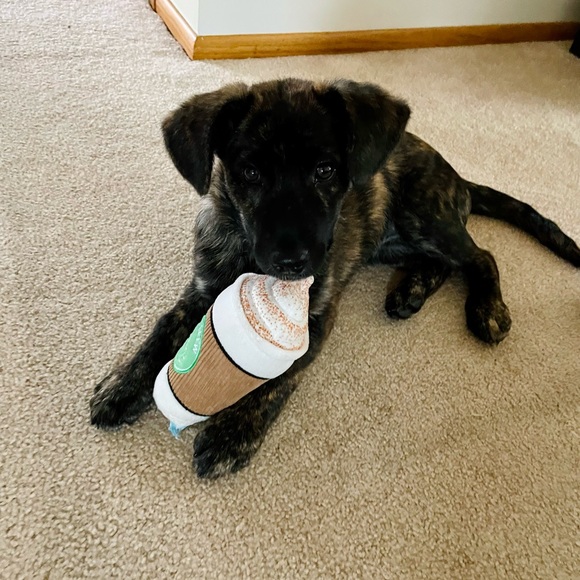 Meet your Posher, Alexis - Picture 9 of 9